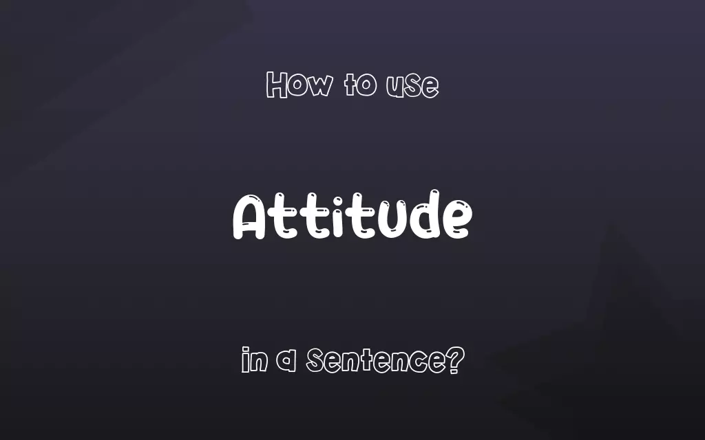 Attitude in a sentence