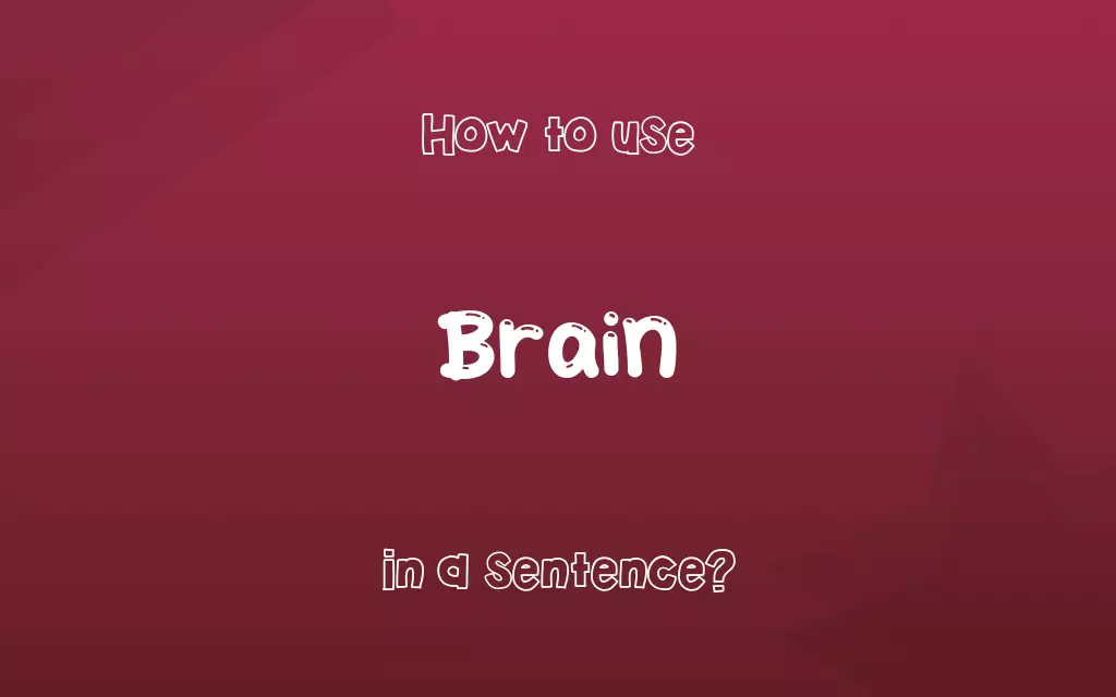Brain in a sentence