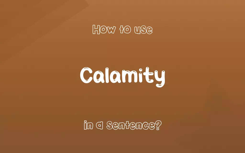 Calamity in a sentence