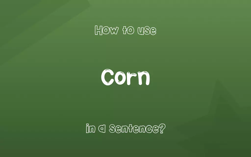 Corn in a sentence
