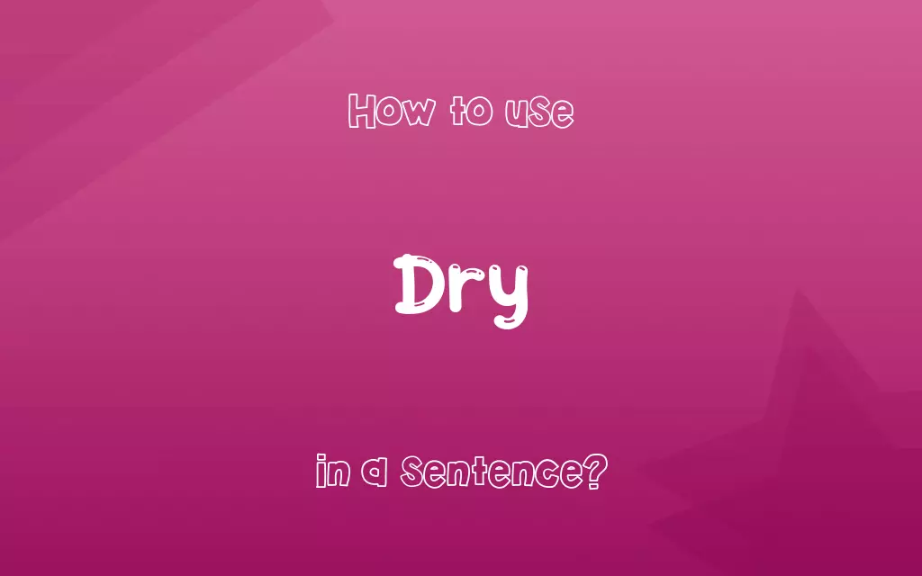 Dry in a sentence