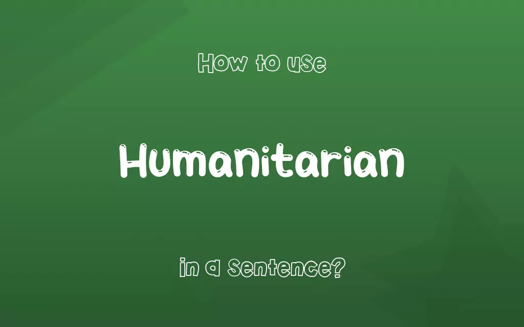 Humanitarian in a sentence