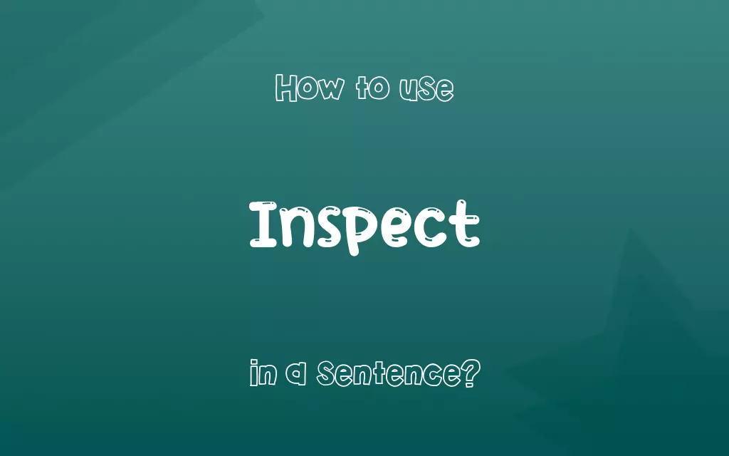 Inspect in a sentence