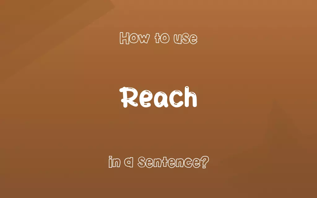 Reach in a sentence