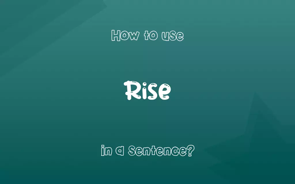 Rise in a sentence