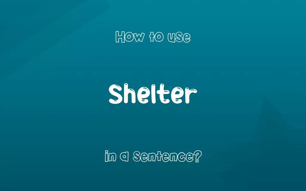 Shelter in a sentence