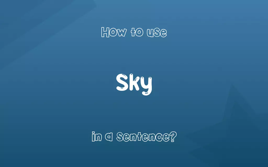 Sky in a sentence
