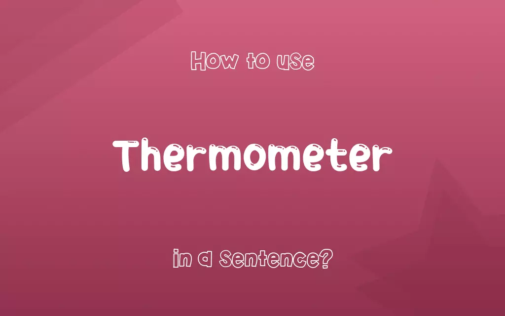 Thermometer in a sentence