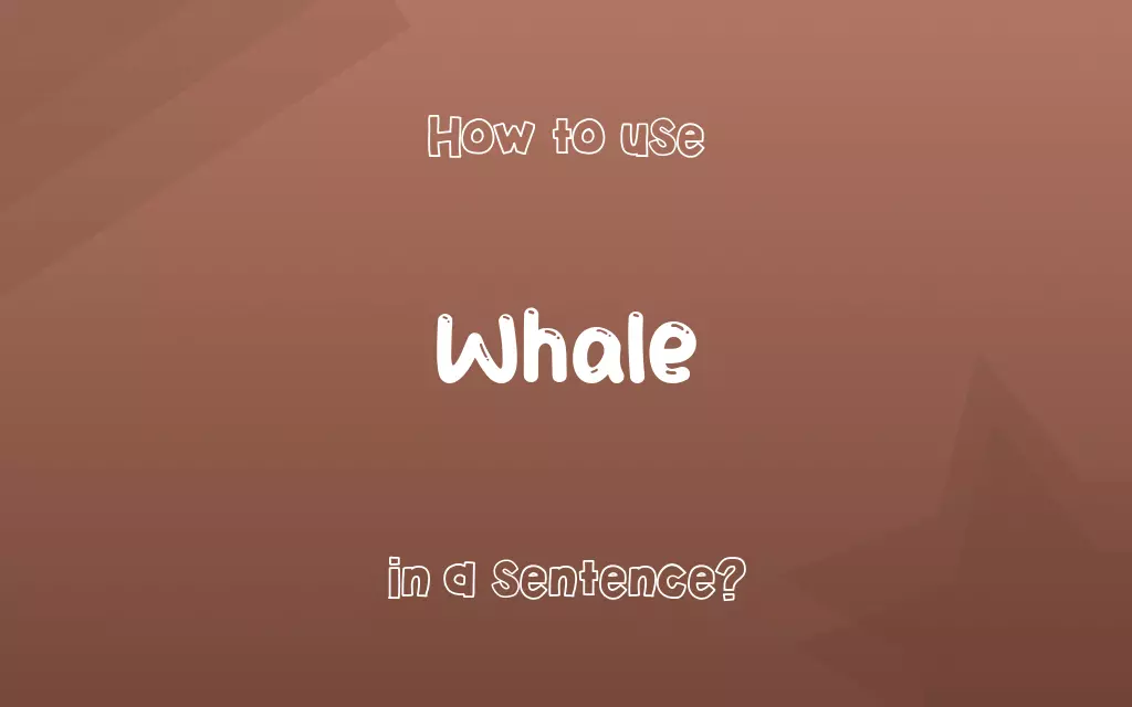 Whale in a sentence