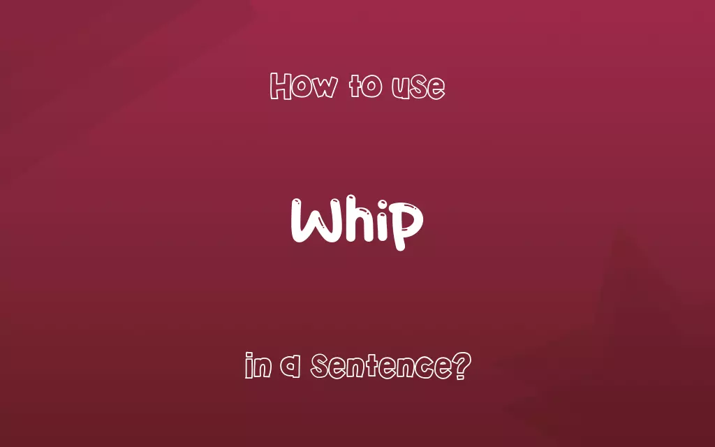 Whip in a sentence